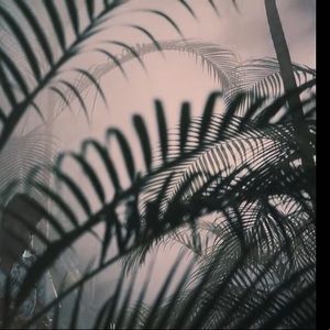 Meet your Posher, Savanna